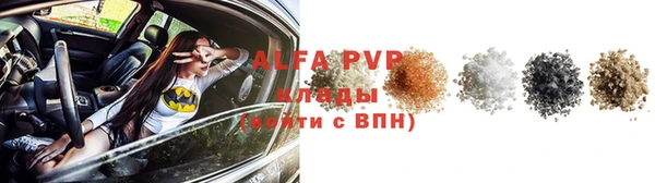 стаф Медногорск