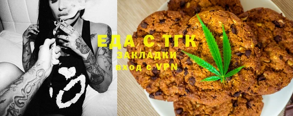 стаф Медногорск