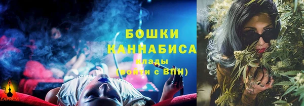 стаф Медногорск