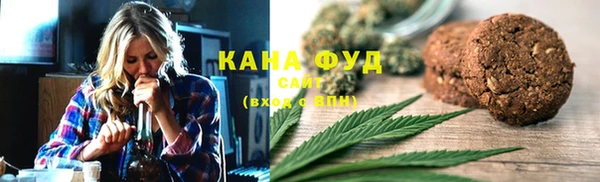 стаф Медногорск