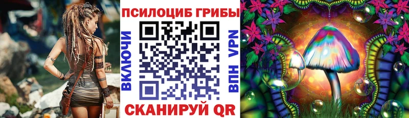 сайты даркнета наркотические препараты  Жигулёвск  Галлюциногенные грибы Psilocybe  OMG зеркало 